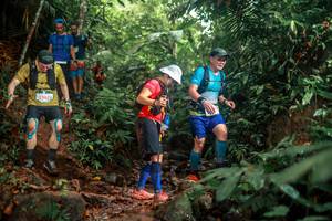 BIB: 5567
                            <button type="button" onclick="openModal(24858723)" class="btn btn-primary btn-sm float-right btn-popup" data-toggle="modal" data-target=".modal-high-quality">
                        <i class="fas fa-shopping-cart"></i> Add to Cart
                    </button>
                                            <button type="button" onclick="isThisMe(24858723, true)" class="btn btn-success btn-sm float-right btn-popup btn-isme hidden" data-toggle="tooltip" data-placement="bottom" title="นี่คือรูปของคุณใช่ไหม คลิกที่นี่เพื่อเอาเข้าอัลบั้ม">
                        <i class="fas fa-plus"></i> Add to album
                    </button>
                    <button type="button" onclick="isThisMe(24858723, false)" class="btn btn-warning btn-sm float-right btn-popup btn-isnotme hidden">
                        <i class="fas fa-ban"></i> Remove from album
                    </button>